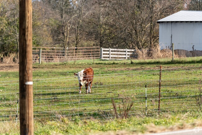 You will find animals including cows while driving throughout Hanover Township.