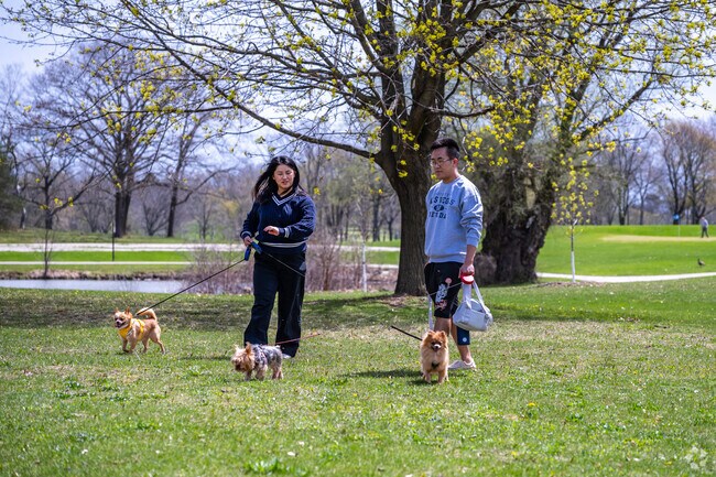 Brown Deer Park has open green space and is a great place for a walk.