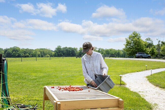 Traders Point Creamery promotes a community of sustainable farming.