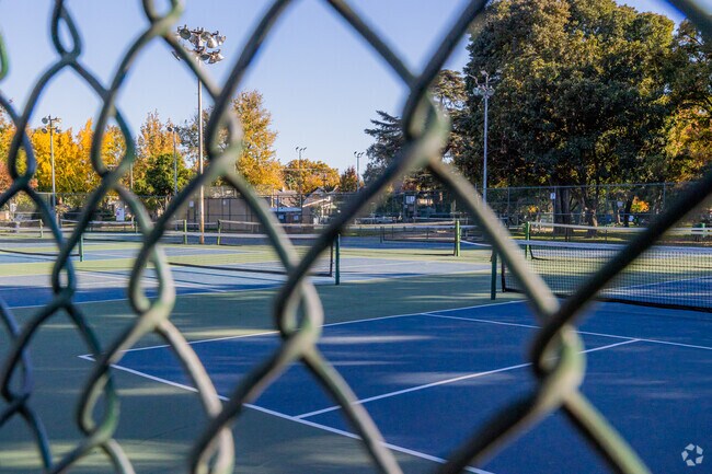 there are 8 tennis courts available at Graceada Park.