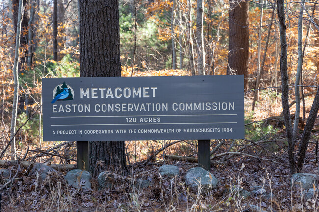 Metacomet preserve is 120 acres of protected forest.