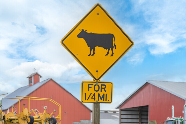 Small personal farms and livestock are common in every corner of Newaukum.