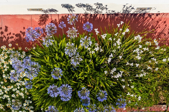 In Highland, Oakland you'll find beauty planted everywhere.