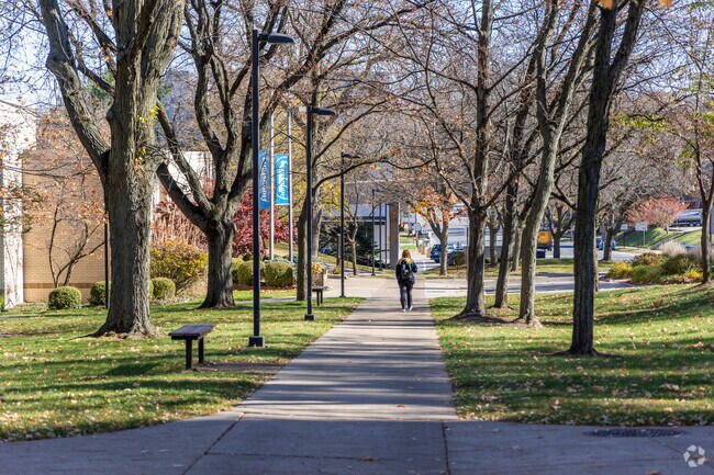 College Circle is a beautiful neighborhood of winding paths and mature trees.