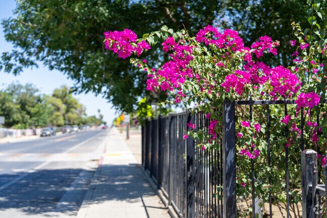 Bright flora can be found peeking out around Huron.