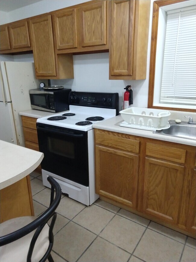 533 N Bluff St unit A, Berrien Springs, MI 49103 - photo 3