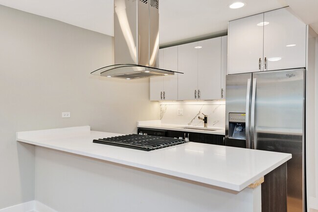 1337 W. Walton, Chicago, IL 60642 - photo 5