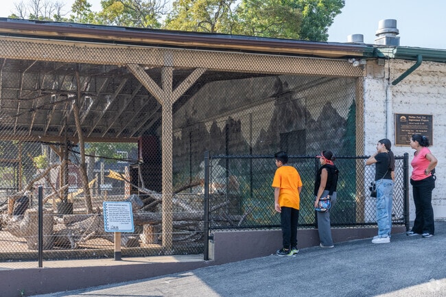 Phillips Park has a free zoo open to the public.