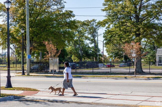 A man walks his dog along the streets of Marshall.