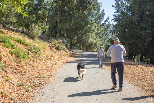 Forestland residents walk up to Sibley Park and enjoy long hikes with their pups.