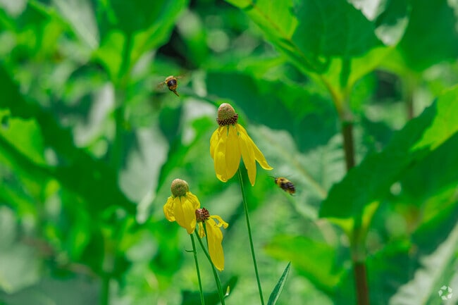 Jackson Morrow Park is a large park in Kokomo, just outside of Vinton Woods.