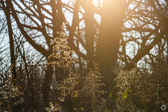 Visitors to the Miami Woods enjoy the serene woods and prairie, a stunning wildflowers.