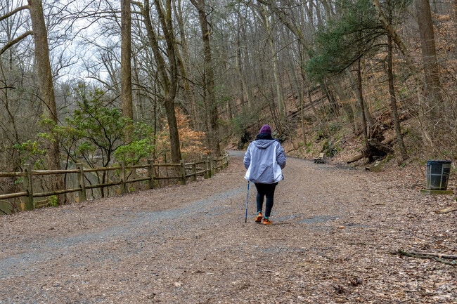 Explore all nature has to offer in Whitemarsh Township.