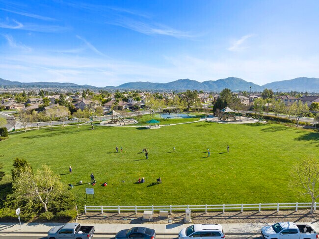 Children Laughing, Running And Exploring Nature In Flower Hill Park.