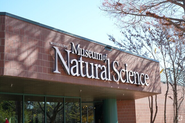 The Natural Science Museum in Jackson offers an interactive display showcasing diverse wildlife.
