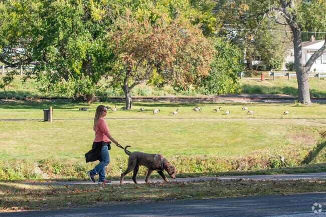 Take your best friend for a walk in Stadium Park near the Logan Wood neighborhood.