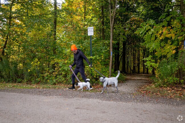 McClelland Park is home to a popular dog park and has over 56 acres of woodlands.