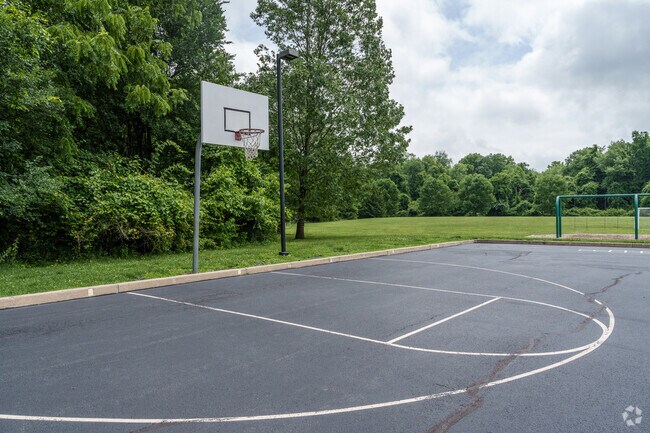 Challenge friends to a game of half-court basketball at Sugartown Elementary School.