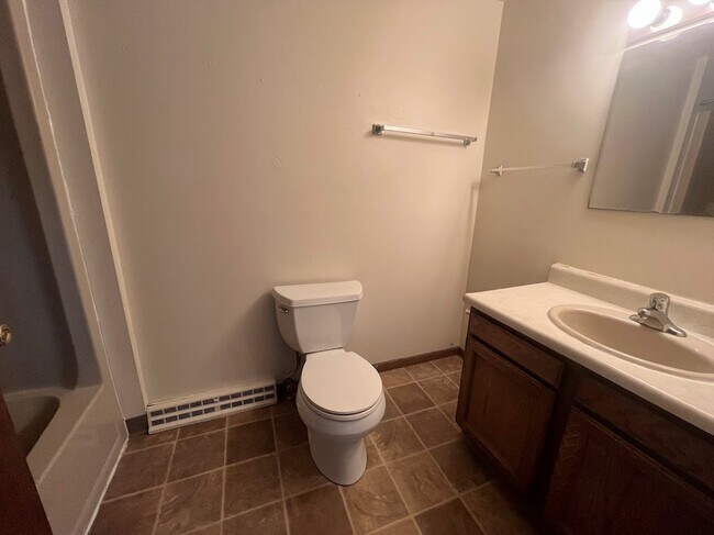 411 W Doty St unit 1, Madison, WI 53703 - photo 7