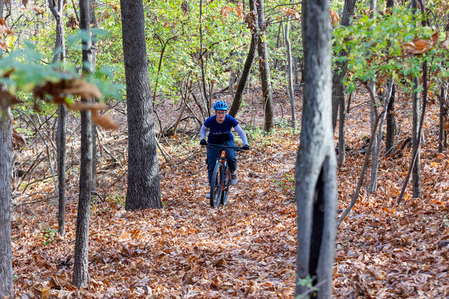 Outdoor enthusiasts will enjoy the proximity of parks found around Oakville.