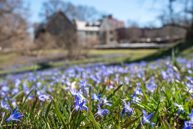 South Quincy residents can admire the grounds of Adams National Historical Park.