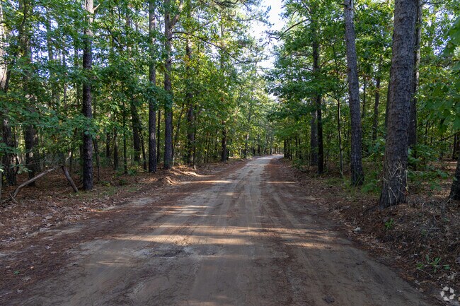 Road to the parking area for the Batona Trail at Brendan T. Byrne State Forest in Pemberton Township.