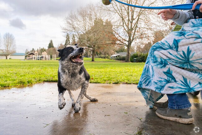 Dogs will love running around in the big open green spaces in Griffin Oaks Park.