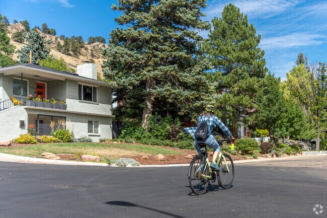 The vibrant biking culture in Newlands connects residents while promoting a healthy lifestyle.