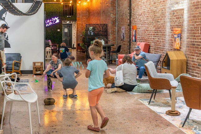 Boops & Beans Cat Cafe, a short drive from Sullivan Gardens, is a space to enjoy a drink while interacting with cats that are looking for a forever home.