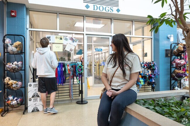 Patiently waiting while adoption papers are filed at the Humane Society in Cheltenham.