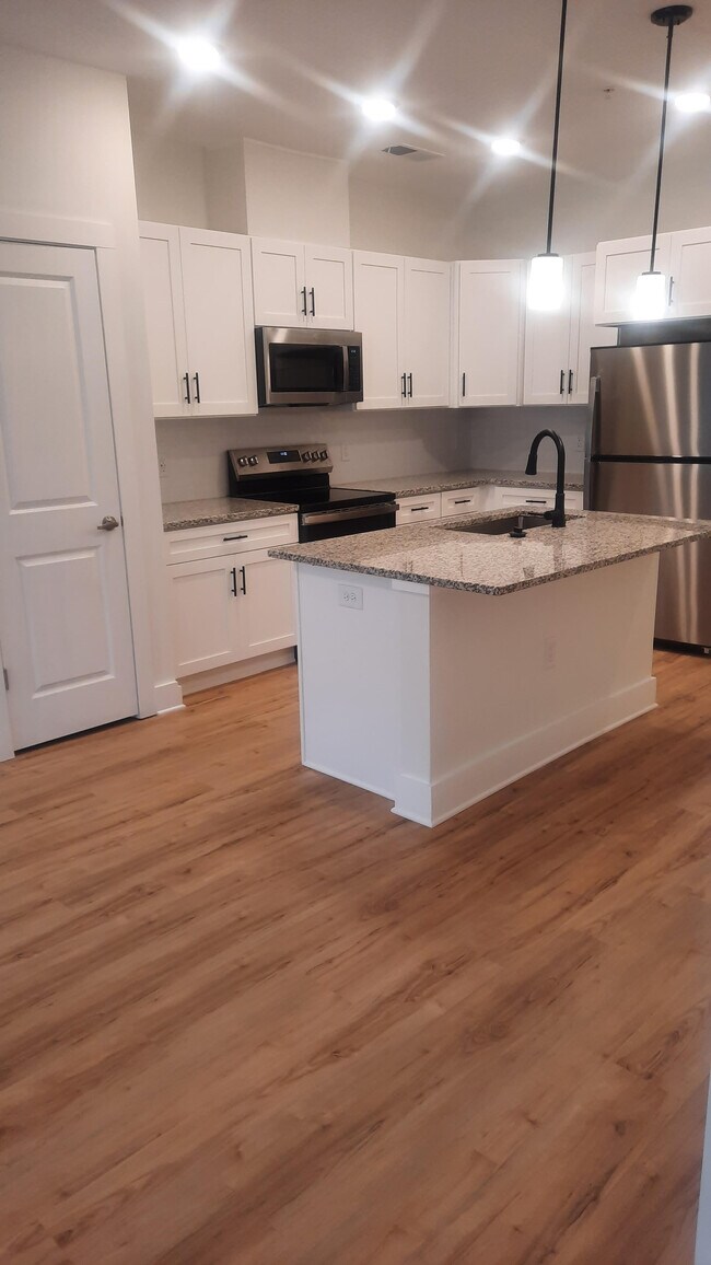 The View at Franklin, Danville, VA 24540 - photo 3