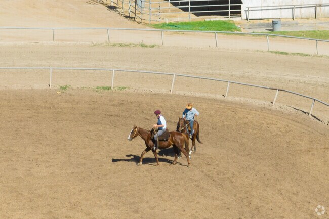 Gorse trainers prepping for a game at Santa Barbara Polo and Racquet Club in Toro Canyon, CA.