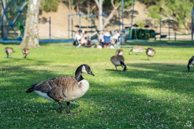 Newland residents can enjoy the wildlife at the Huntington Central Park West.