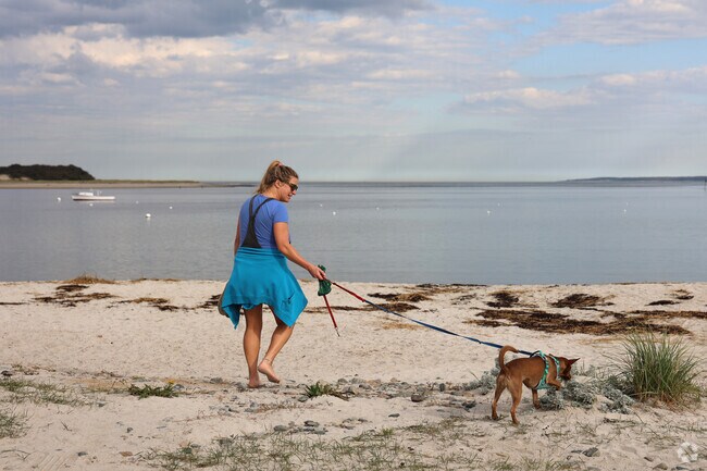 Dogs in the area enjoy long walks on the beach in Ipswich.