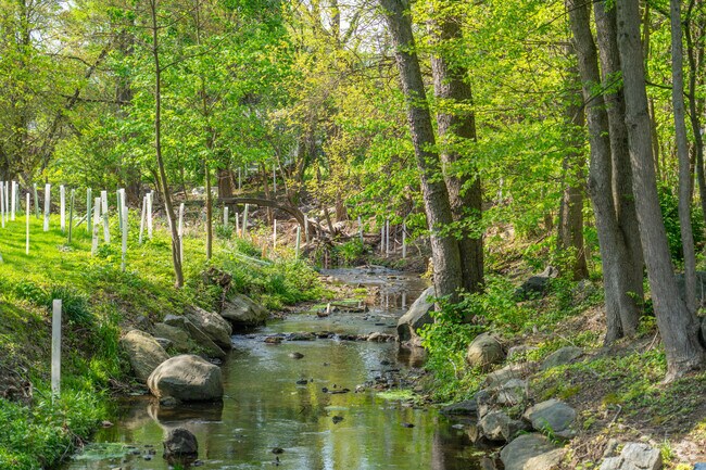 Picturesque creeks wind through Wynnewood, adding natural beauty and a tranquil atmosphere to the suburban landscape.