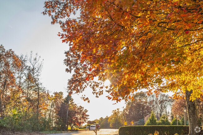 Changing seasons are a beautiful sight in Inkerman, PA.