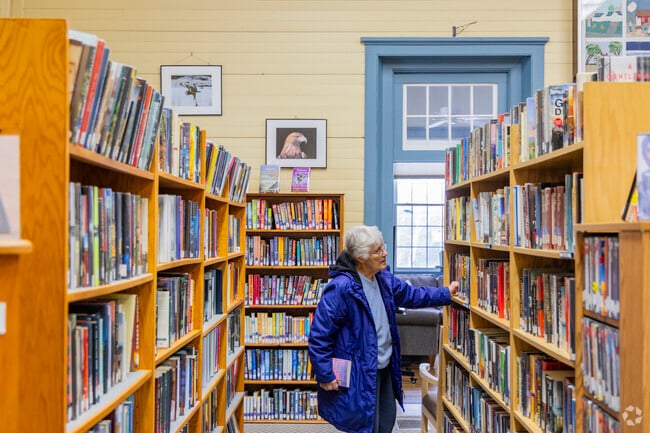You can find a variety of adult and children's books at the Chichester Town Library.