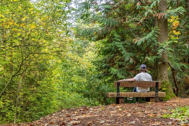 Weowna Park features wooded trails and lake views just minutes from West Lake Sammamish.