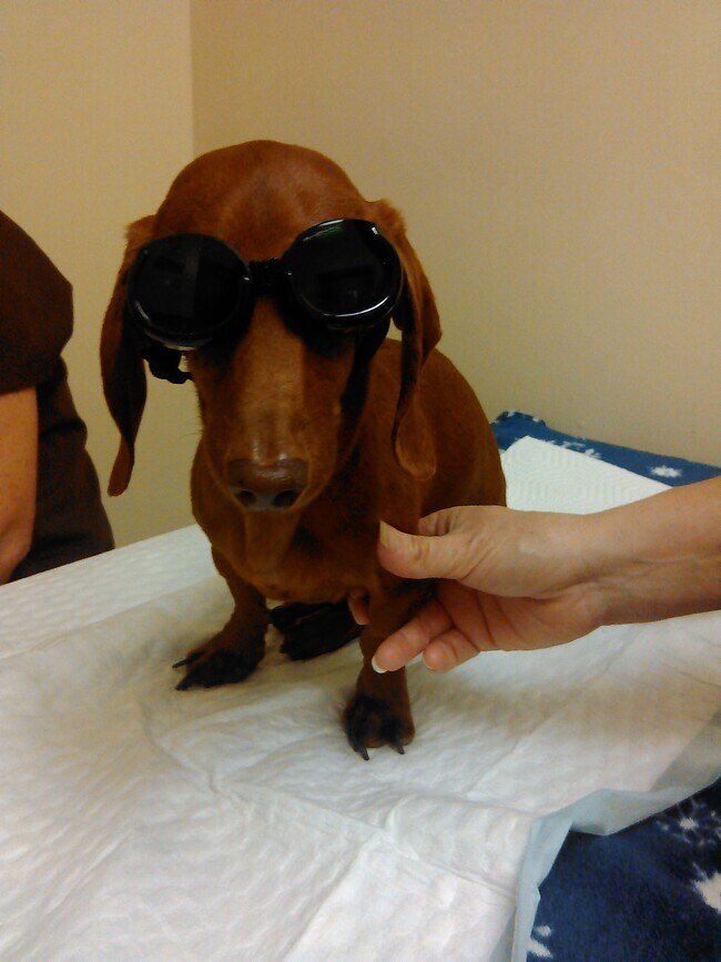 Agent Photo
