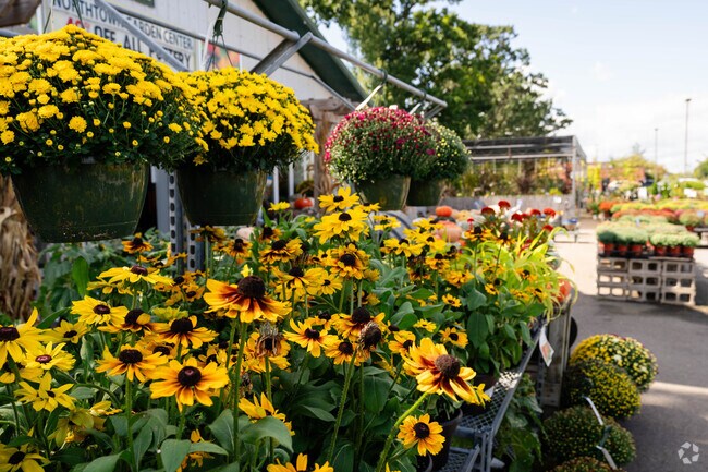 Kenmore Northeast is a quiet suburban setting with fast access to downtown attractions.