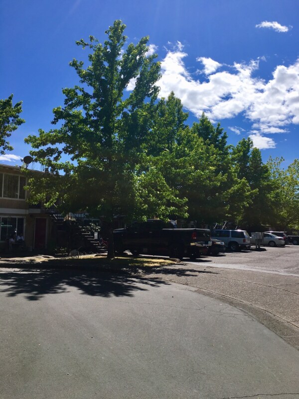 1430-1460-1460 Nw Division St unit 37, Corvallis, OR 97330 - photo 2