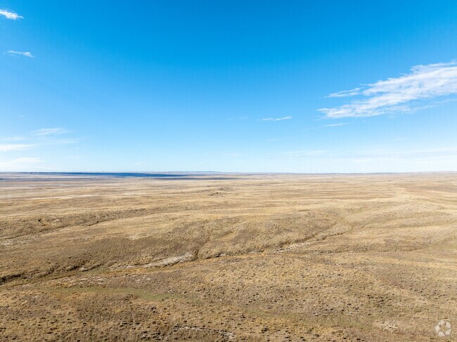 Vast open grasslands make up the surrounding area of Newcastle.