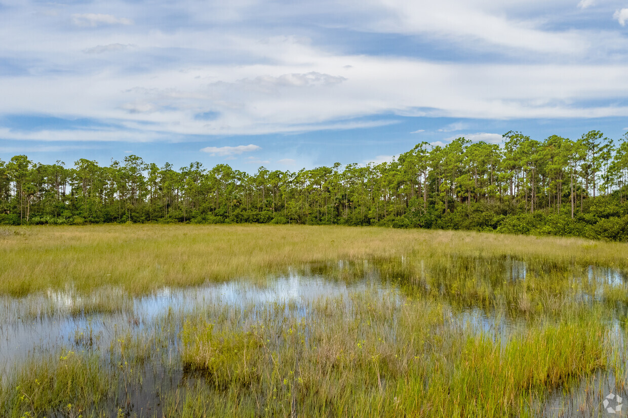 About Palm Beach Country Estates | Schools, Demographics, Things to Do -  Homes.com