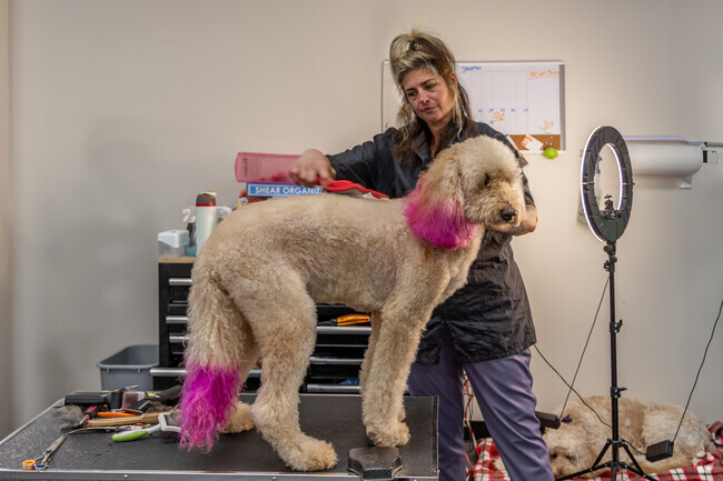 Bring your best friend for grooming at What The Pup in Shelton.