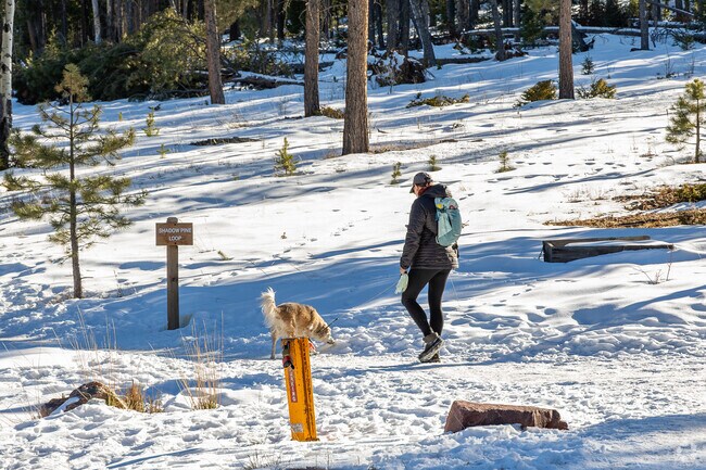 Take your dog for a scenic walk at Flying J Ranch Park in Confier.