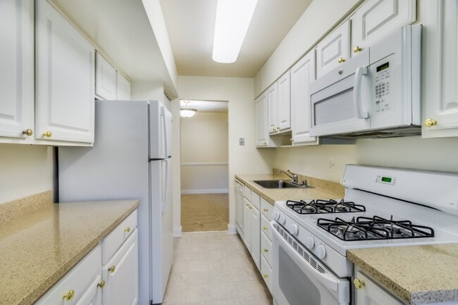 PeachTree of McLean Apartments, Falls Church, VA 22043 - photo 4