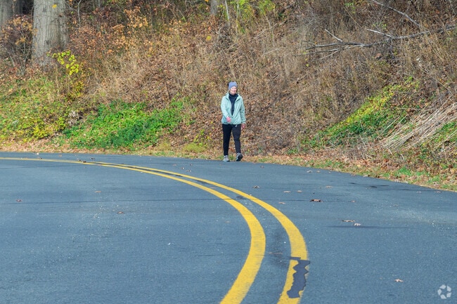 A woman takes a walk along Gull Lake Rd in South Gull Lake.
