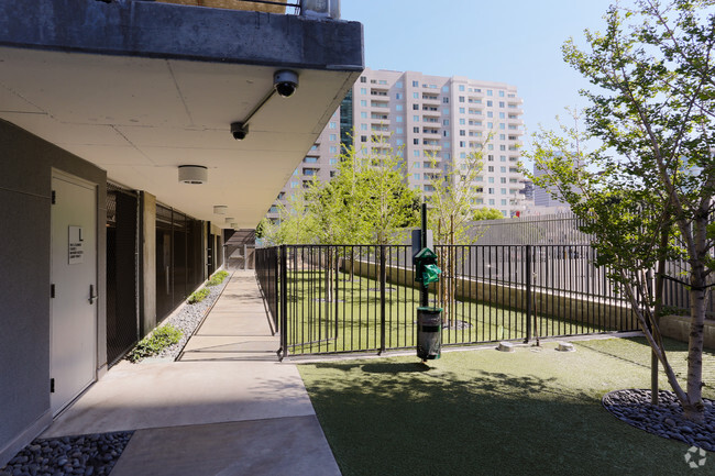Dog park