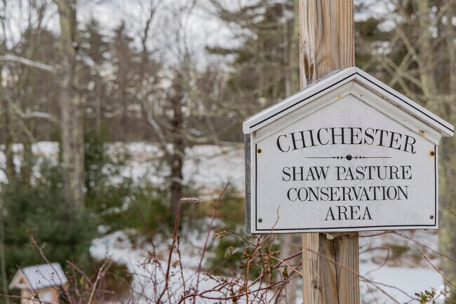 Shaw Pasture in Chichester provides 7 acres of woodlands for hiking and recreation.