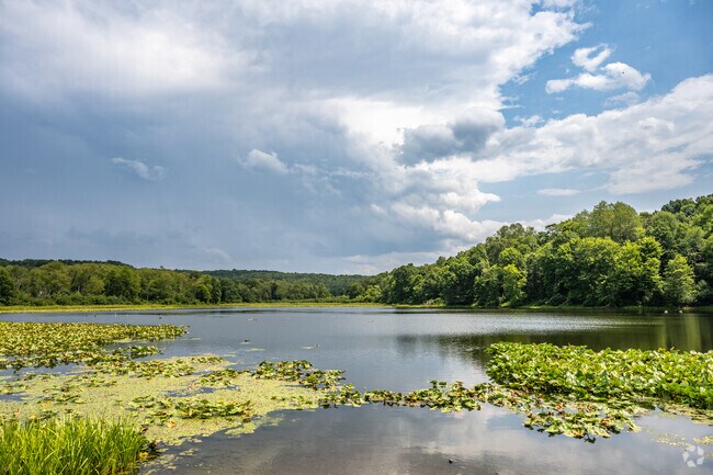 Fairfax Pond is centered on a series of ponds remaining from previous strip mining operations.